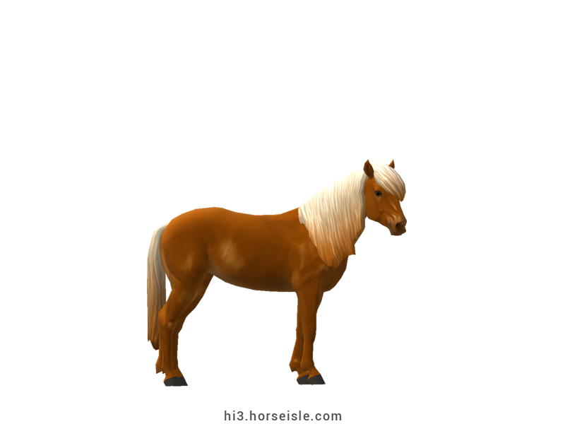 Pony-sized Finnhorse Flaxen Chestnut Coat